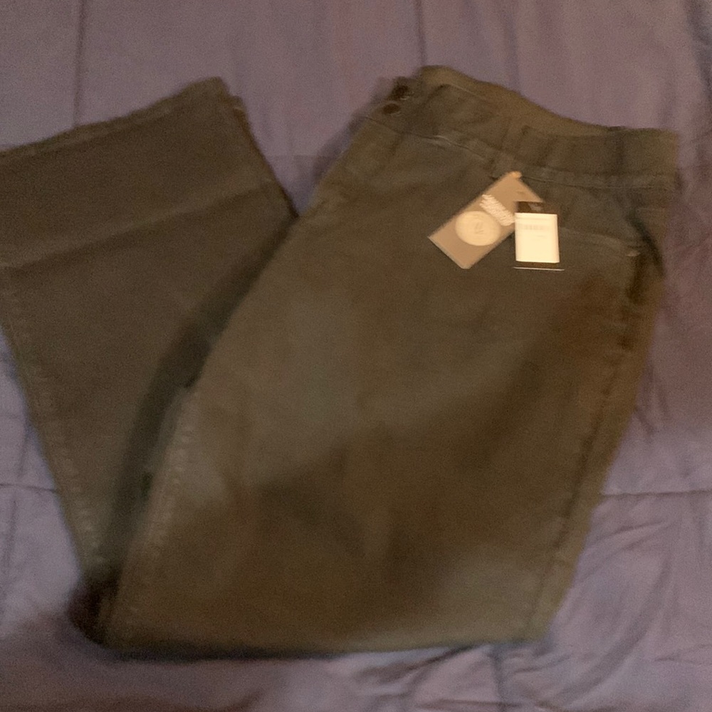 Beautiful Womens plus size jeans.   New with tags.